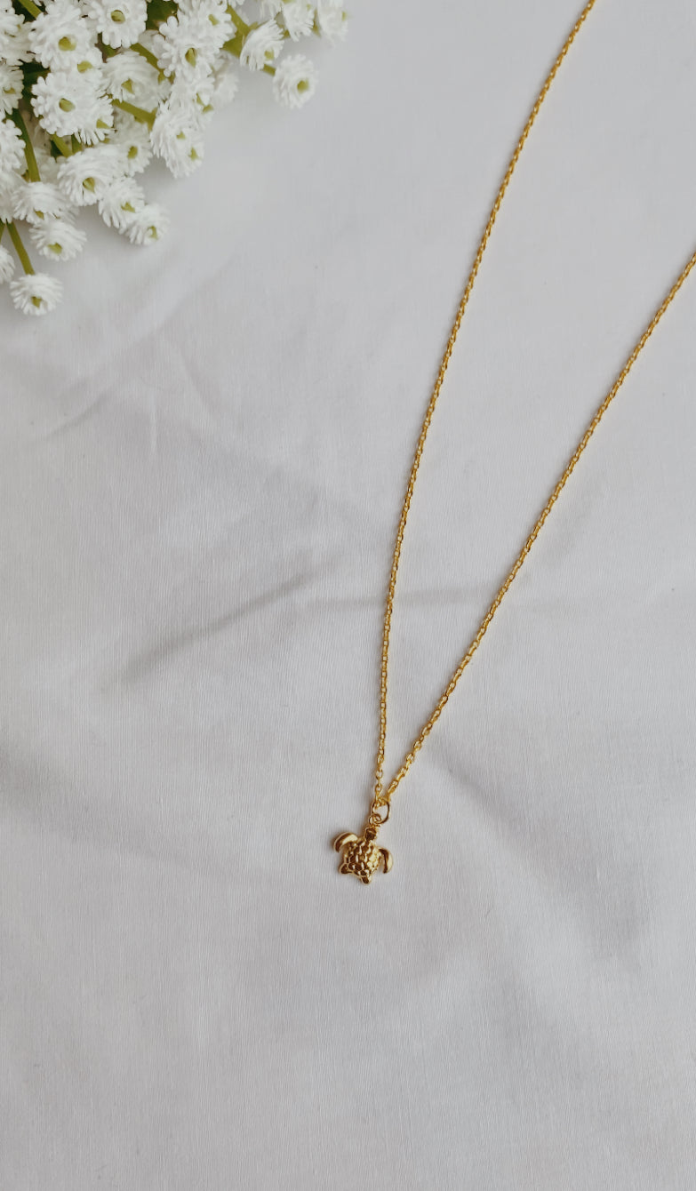 Turtle necklace
